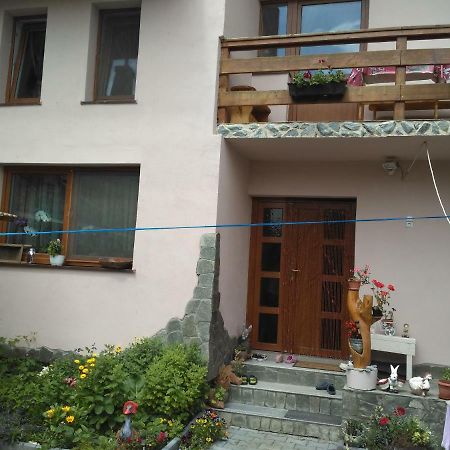 Hotel Casa Teo Ocna Sibiului Exterior foto