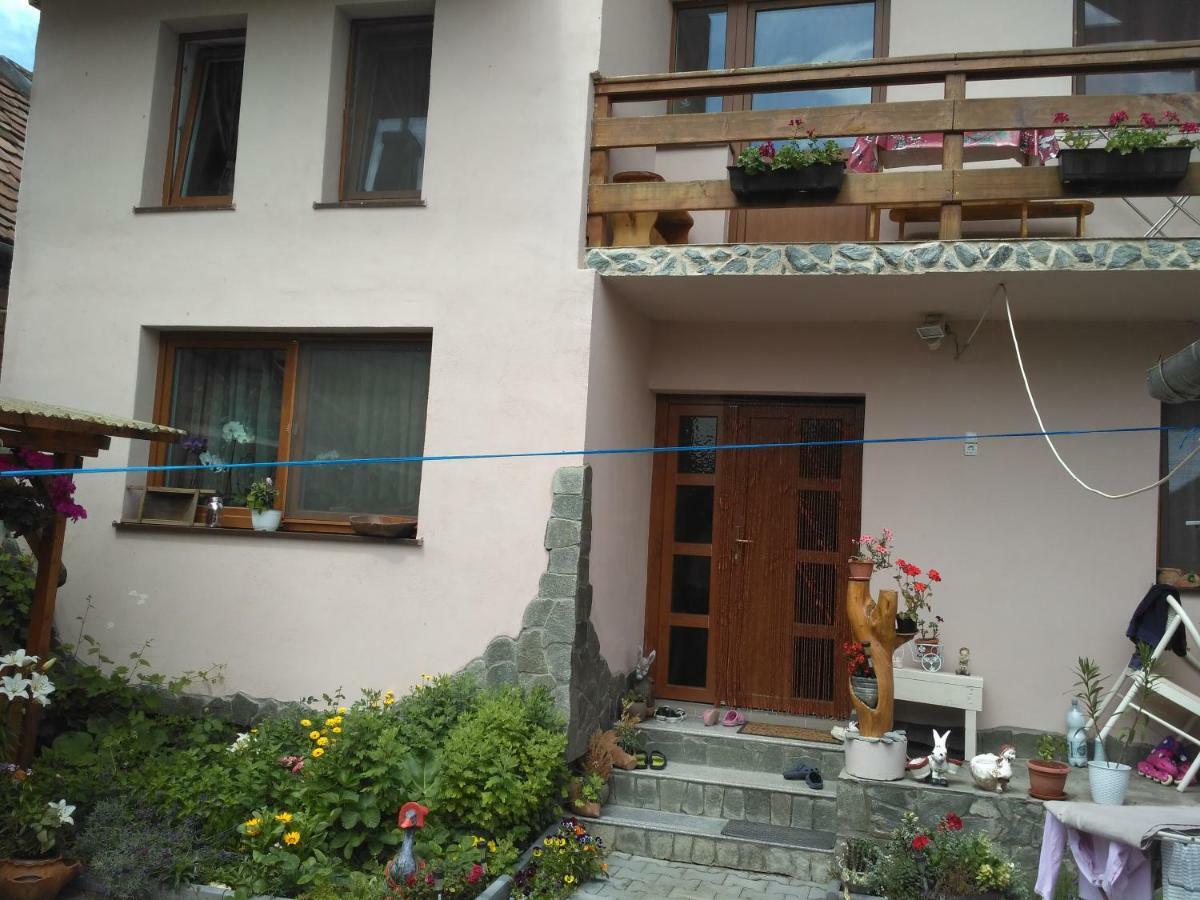 Hotel Casa Teo Ocna Sibiului Exterior foto
